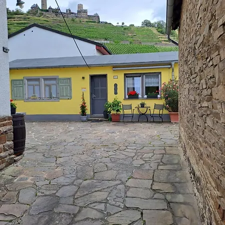 Wolle & Beate アルケン